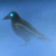 crow in the mist